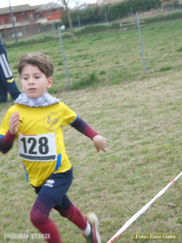 Mezzano: Cross Provinciale UISP 2024 - prova 2 di 6 - 24 febbraio 2024
